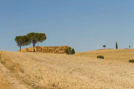 Paesaggio di campagna in toscana Stock Photo