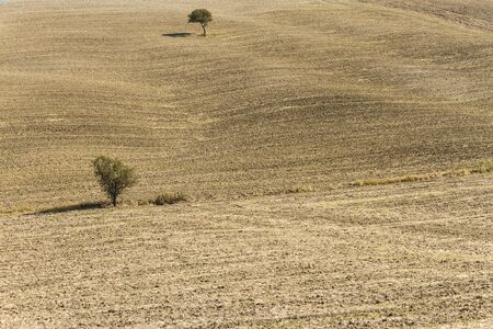 Paesaggio di campagna in toscana