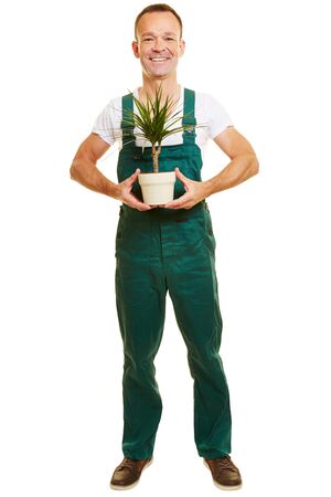 green and gold overalls