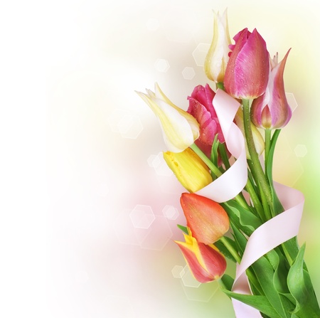 Spring Tulip Flowers bunch Фото со стока