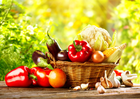 Légumes bio biologiques frais dans un panier sur fond de nature