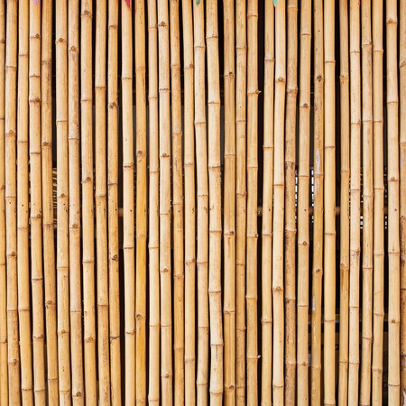 bamboo texture