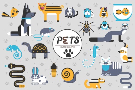 Pets flat illustration concept. wildlife and home zoo animals vector design icons