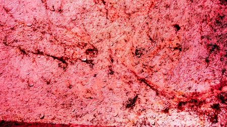 クモの巣 黒いカビや澄んだ水と赤い壁をそれを削除します 部屋の天井に危険な有毒菌カビ 部屋の壁のカビやウェットのクモの巣と抽象的な背景 の写真素材 画像素材 Image クモの巣 黒いカビや澄んだ水と赤い壁をそれを削除します 部屋の天井に危険な有毒菌カビ 部屋の壁のカビやウェットのクモの巣と抽象的な背景 の写真素材 画像素材 Image