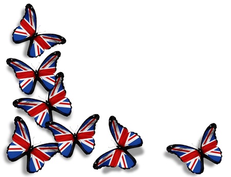 English flag butterflies, isolated on white background Stock Photo