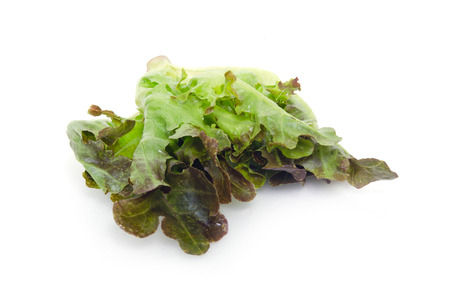 カイランの野菜 他の名前は 中国ブロッコリー ケール 改 Lan ガイ Lan さん Phak Khana 朴セリは かな Alboglabra アブラナ属の Oleracea 広東料理メニューの良い白い背景に分離 の写真素材 画像素材 Image