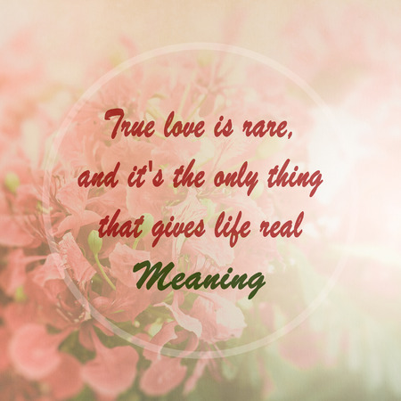 Meaningful Quote On Pink Flower Background True Love Is Rare Enchanting Real Love Quotes Meaningful Quote On Pink Flower Background True Love Is Rare Enchanting Real Love Quotes