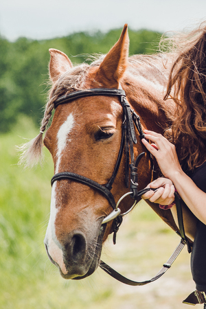 馬のクローズ アップ 目にし ライダーの手の詳細と馬の頭のクローズ アップ 種牡馬馬に乗ること の写真素材 画像素材 Image 馬のクローズ アップ 目にし ライダーの手の詳細と馬の頭のクローズ アップ 種牡馬馬に乗ること の写真素材 画像素材 Image