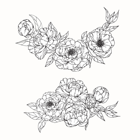 インク 鉛筆 マグノリアの葉と花を分離します 線画の透明な背景 手描きの自然絵画 フリーハンドスケッチイラスト の写真素材 画像素材 Image インク 鉛筆 マグノリアの葉と花を分離します 線画の透明な背景 手描きの自然絵画 フリーハンドスケッチイラスト の写真素材 画像素材 Image