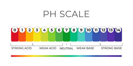 Ph-waardeschaalkaart voor zuur-alkalische oplossing. zuur-base evenwicht infographic geïsoleerd op een witte achtergrond. indicator voor concentratie van waterstofionen in oplossing. vector illustratie Vector Illustratie