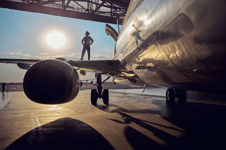 View of parts of commercial aircraft isolated on the sun background Stock Photo