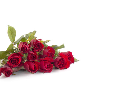 おしゃれ L バラの花背景 の写真素材 画像素材 Image おしゃれ L バラの花背景 の写真素材 画像素材 Image