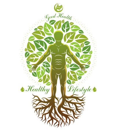 白い背景の上に立っていると 木の根を使った強いの男性 身体のシルエットのベクター グラフィック イラスト 生命の樹の比喩 家族のルーツ のイラスト素材 ベクタ Image