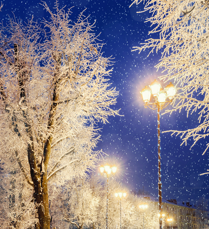 冬の背景 冬の夜冬の凍るような木の中でランタンを輝く 冬の雪が降ると表示します カラフルな冬の街の夜と冬の背景 冬雪夜 冬の背景 の写真素材 画像 素材 Image 冬の背景 冬の夜冬の凍るような木の中でランタンを輝く 冬の雪が降ると表示します カラフルな冬の街の夜と冬の背景 冬雪夜 冬の背景 の写真素材 画像 素材 Image