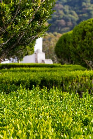 Parte Del Parque Con Arbustos Y Arboles Y La Construccion De La