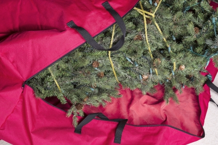 Large Artificial Christmas Tree Being Placed In Red Nylon Zipper Bag For Next Season Stock Photo Large Artificial Christmas Tree Being Placed In Red Nylon Zipper Bag For Next Season Stock Photo