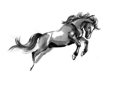 走走る馬のすみ江イラスト 左に移動 オリエンタルな水墨画 白い背景に隔離 の写真素材 画像素材 Image 走走る馬のすみ江イラスト 左に移動 オリエンタルな水墨画 白い背景に隔離 の写真素材 画像素材 Image