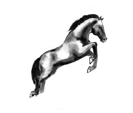 走走る馬のすみ江イラスト 左に移動 オリエンタルな水墨画 白い背景に隔離 の写真素材 画像素材 Image 走走る馬のすみ江イラスト 左に移動 オリエンタルな水墨画 白い背景に隔離 の写真素材 画像素材 Image