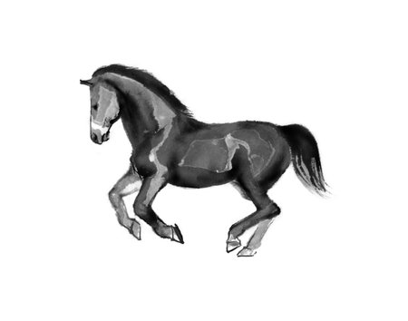 走走る馬のすみ江イラスト 左に移動 オリエンタルな水墨画 白い背景に隔離 の写真素材 画像素材 Image 走走る馬のすみ江イラスト 左に移動 オリエンタルな水墨画 白い背景に隔離 の写真素材 画像素材 Image