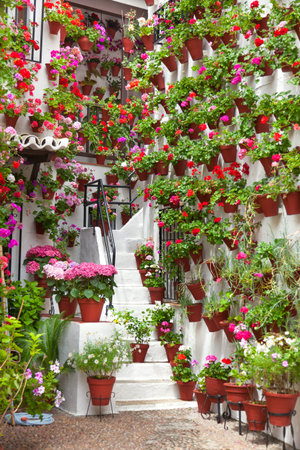 26588464-macetas-y-flores-en-una-pared-blanca-old-town-europea-espa%C3%B1a-c%C3%B3rdoba.jpg