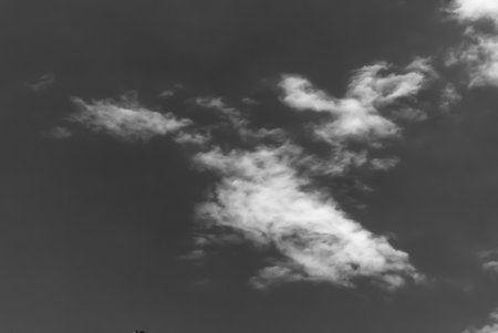 休日の背景のための夏の青空に美しい明るい白い雲をクローズアップ グラフィックや壁紙の自然の背景で使用 の写真素材 画像素材 Image 休日の背景のための夏の青空に美しい明るい白い雲をクローズアップ グラフィックや壁紙の自然の背景で使用 の写真素材 画像素材 Image