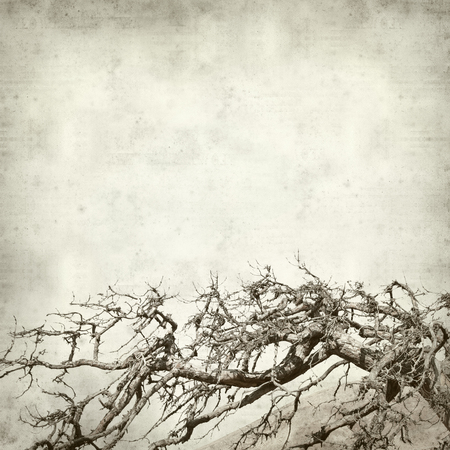 Texturierte Alten Papier Hintergrund Mit Alten Toten Abb Kostenlos Und Flamenco Tanzerin Fuerteventura Kanarischen Inseln Lizenzfreie Fotos Bilder Und Stock Fotografie Image