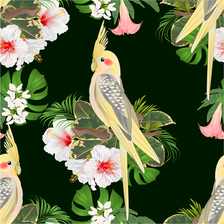 2 923 インコ のイラスト素材 ベクター 123rf