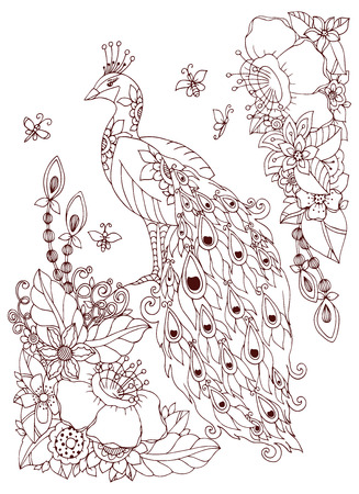Vector illustration zen tangle, peacock and flowers. doodle drawing. coloring book anti stress for adults. brown and white. Stock Photo