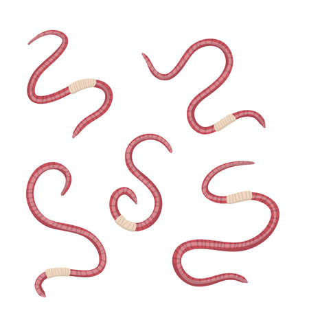 Pink worm. small and slimy, long animal. isolated fishing bait. cartoon flat illustration