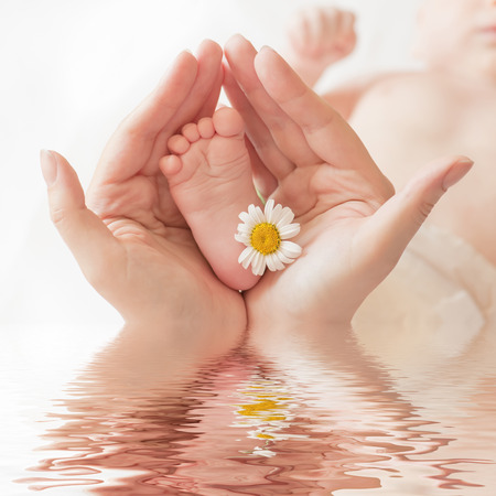 Baby foot with camomile in mommys hands on water surface, shallow DOF.