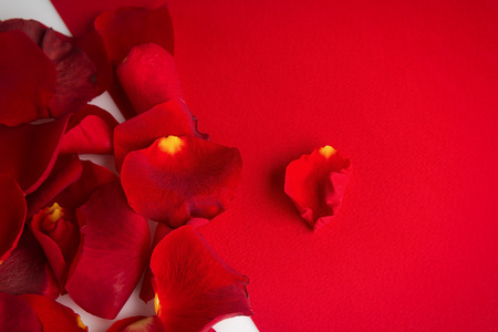 wallpaper International Women s Day: roses petals on a white background with red place for your text