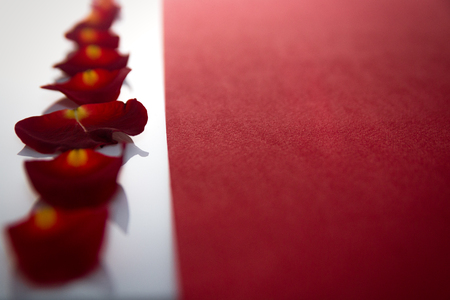 wallpaper International Women s Day: number of petals of roses on a white and place for text on red