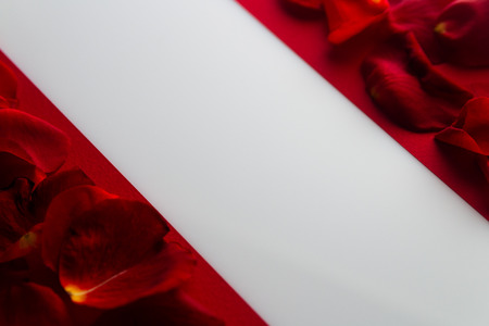 wallpaper International Women s Day: rose petals on a red with a wide white stripe and place for text