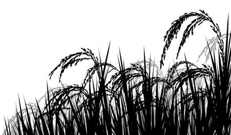 熟したイネ植物 Seedheads の収穫の準備ができてのベクトル シルエット イラストのイラスト素材 ベクタ Image 熟したイネ植物 Seedheads の収穫の準備ができてのベクトル シルエット イラストのイラスト素材 ベクタ Image