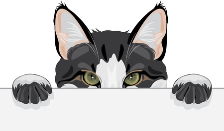 2 540 覗き のイラスト素材 ベクター 123rf 2 540 覗き のイラスト素材 ベクター 123rf