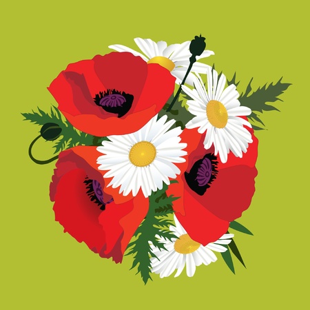 鎮静 草原の花とポピーの花の花束 のイラスト素材 ベクタ Image 鎮静 草原の花とポピーの花の花束 のイラスト素材 ベクタ Image