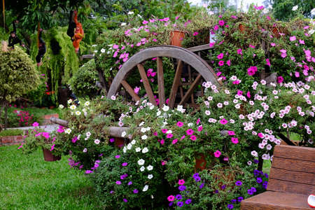 beautiful flower garden full of colorful flowers keywords language english stock photo 99172419 - English Flowers Garden beautiful flower garden full of colorful flowers keywords language english stock photo 99172419 - English Flowers Garden