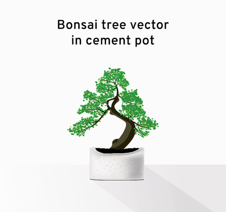 6 479 盆栽 のイラスト素材 ベクター 123rf 6 479 盆栽 のイラスト素材 ベクター 123rf