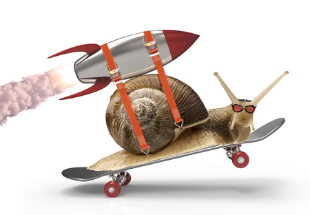 snail in a hurry - 39881829