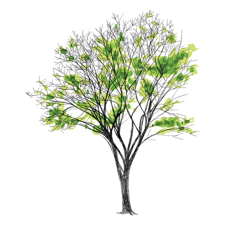 葉 なし手描き大きな裸木 のイラスト素材 ベクタ Image 1513