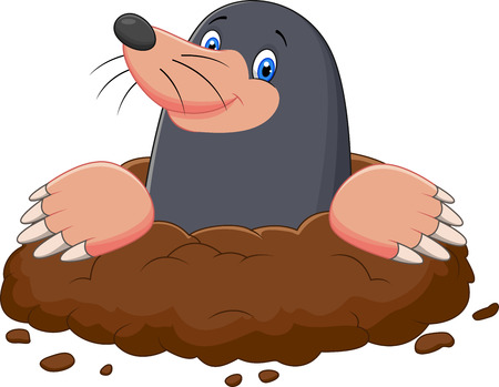 Cartoon mole gesturing Illustration