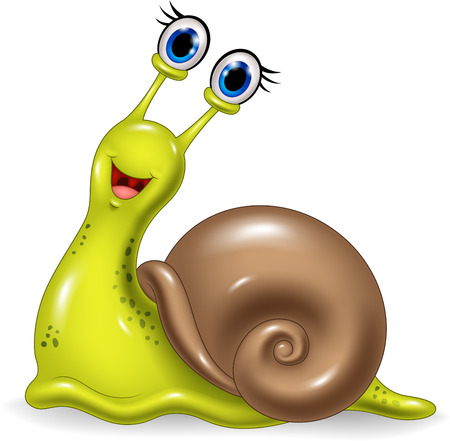 Vector illustration of Cute snail isolated on white background Иллюстрация