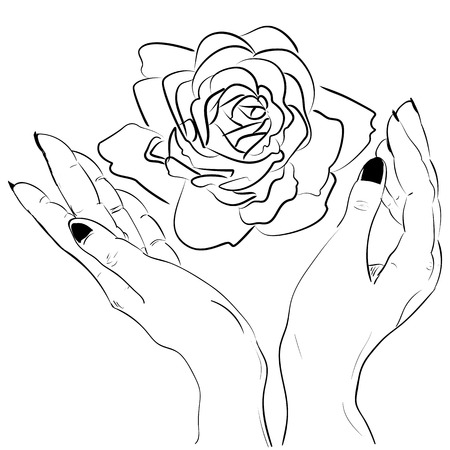 36 544 Hand Holding Rose Stock Photos And Images 123rf