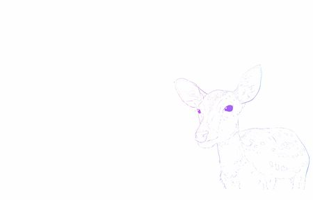 458 Filly のイラスト素材 ベクター 123rf