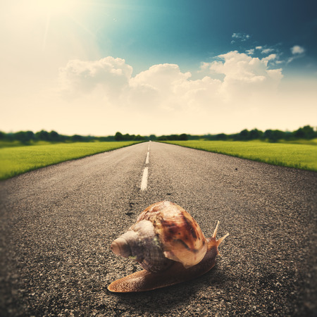 Speedy snail, abstract funny travel backgrounds