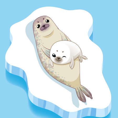 Cute seals family cartoon character design. vector Illustration.