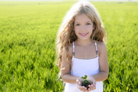 Sprout plant growing from little girl hands outdoor rice field