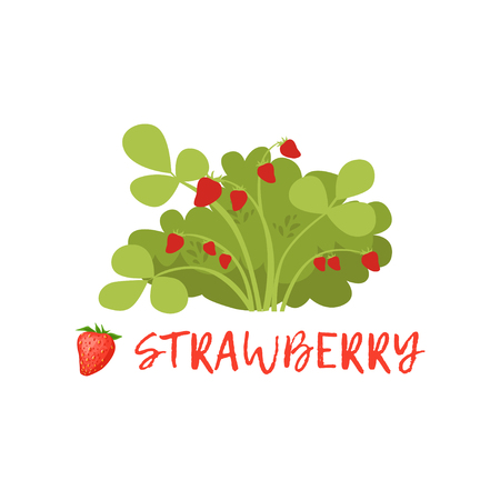 白い背景に名前ベクトルイラストを持つ梨ガーデンフルーツツリーのイラスト素材 ベクタ Image