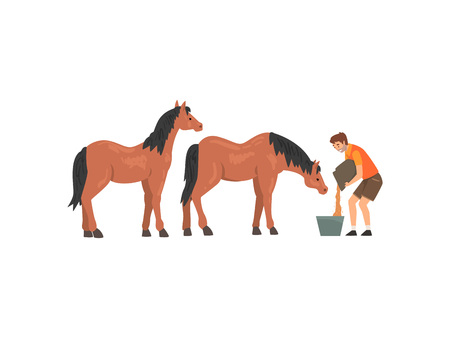 Zoo worker feeding horses, professional zookeeper character caring of animals vector illustration