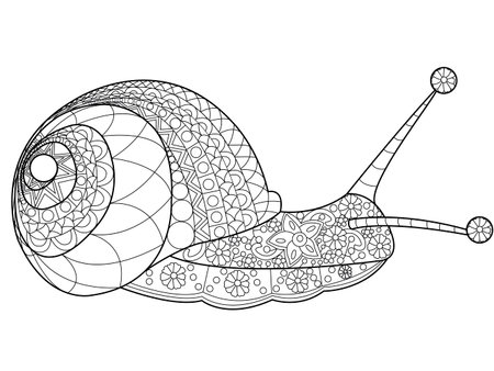 カタツムリ大人ベクトル イラストの塗り絵 大人のための着色抗ストレス Zentangle スタイル 黒と白のライン レース パターン のイラスト素材 ベクタ Image カタツムリ大人ベクトル イラストの塗り絵 大人のための着色抗ストレス Zentangle スタイル 黒と白のライン レース パターン のイラスト素材 ベクタ Image